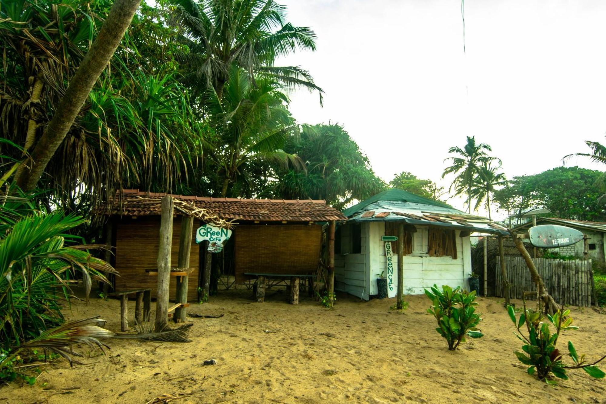 Hikkaduwa Backyard Beach Homestay Galle Ngoại thất bức ảnh