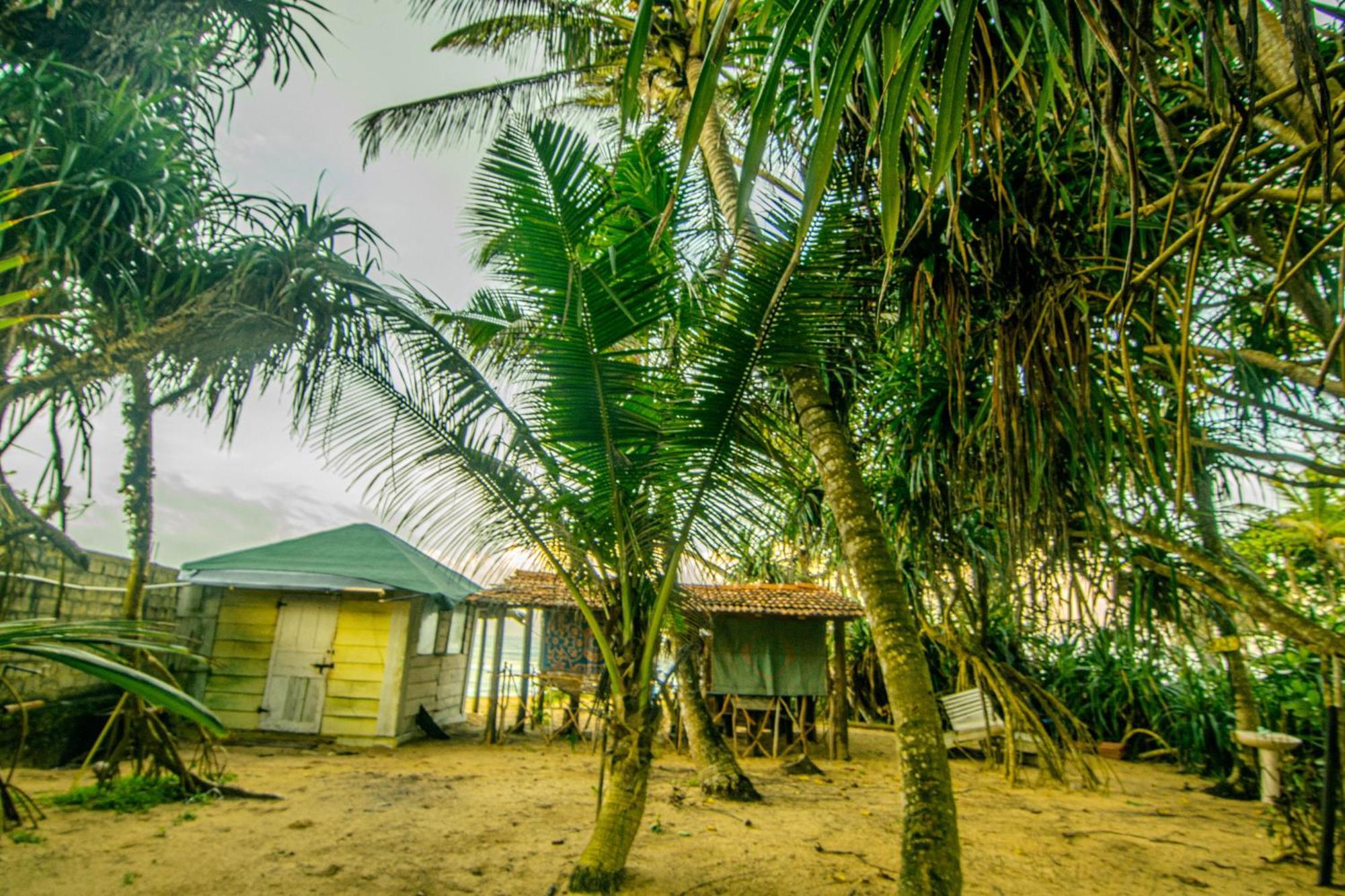 Hikkaduwa Backyard Beach Homestay Galle Ngoại thất bức ảnh