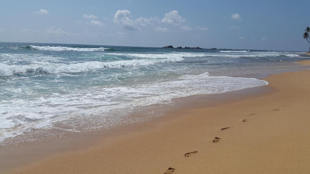 Hikkaduwa Backyard Beach Homestay Galle Ngoại thất bức ảnh