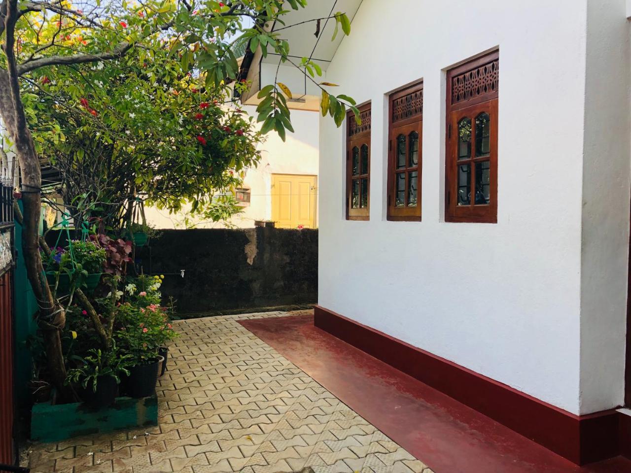Hikkaduwa Backyard Beach Homestay Galle Ngoại thất bức ảnh