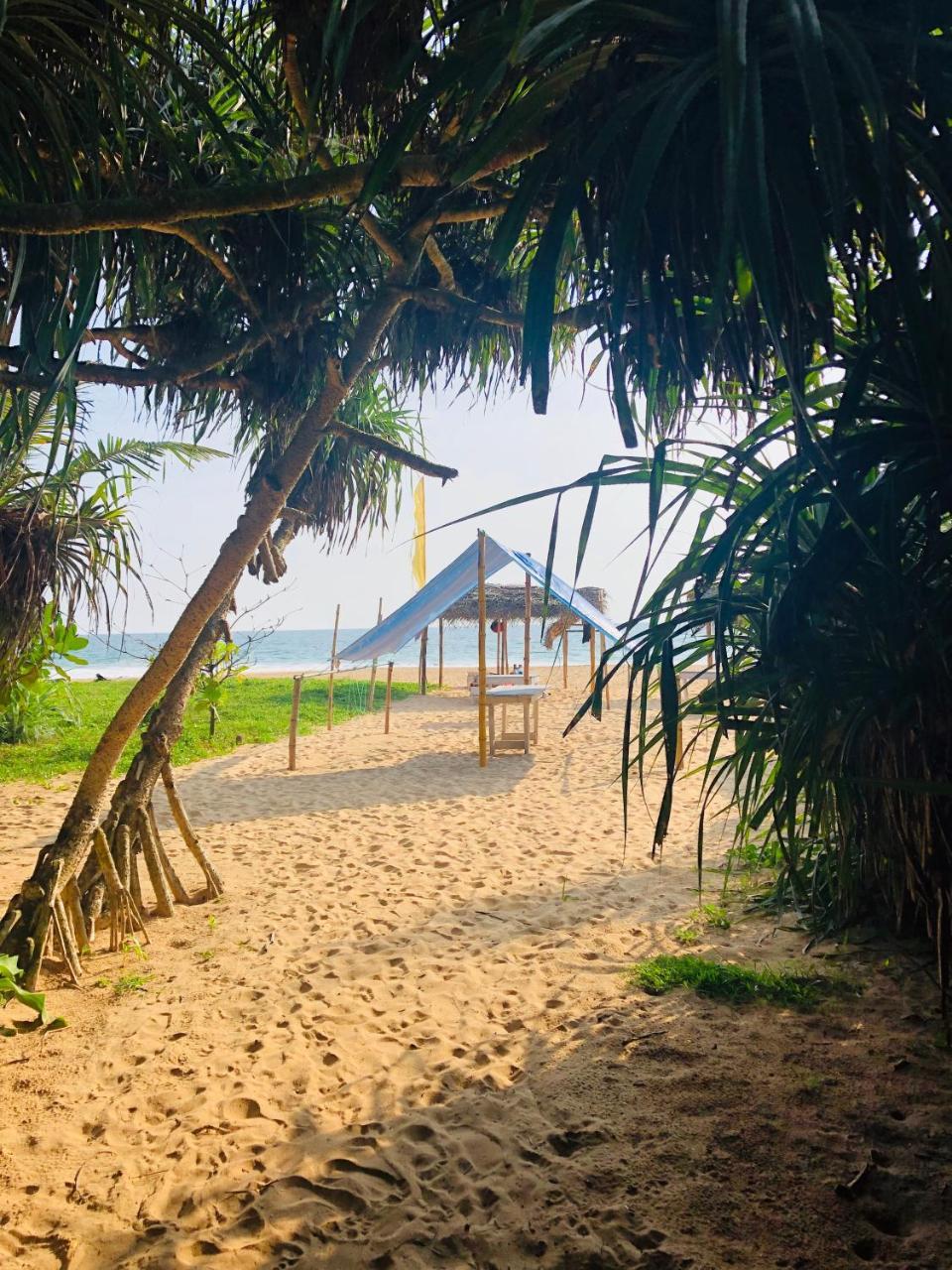 Hikkaduwa Backyard Beach Homestay Galle Ngoại thất bức ảnh