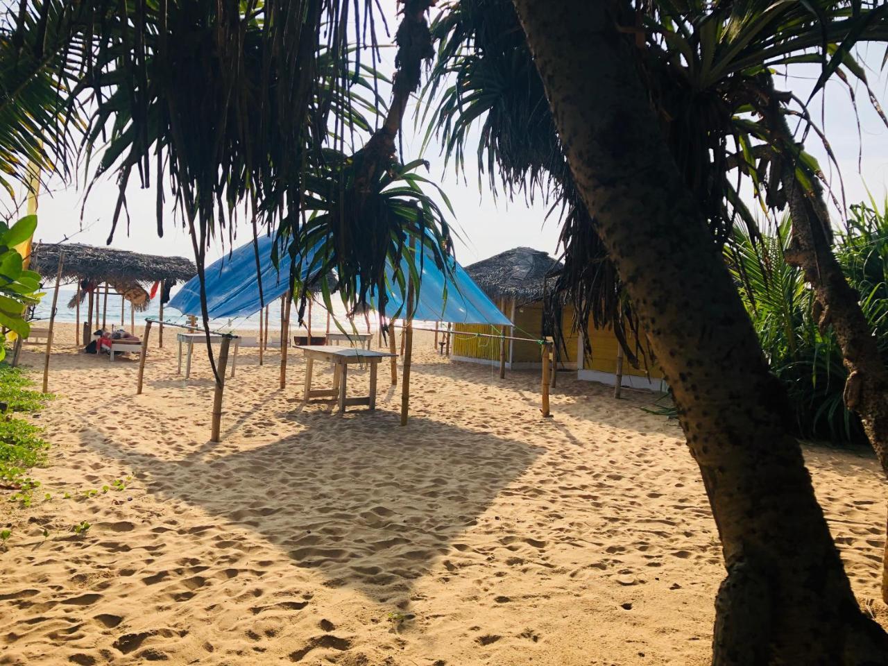 Hikkaduwa Backyard Beach Homestay Galle Ngoại thất bức ảnh