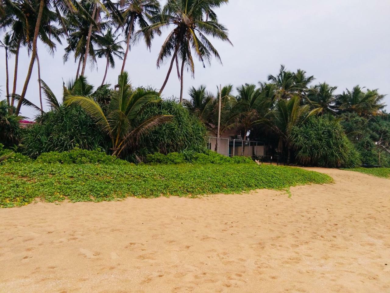 Hikkaduwa Backyard Beach Homestay Galle Ngoại thất bức ảnh