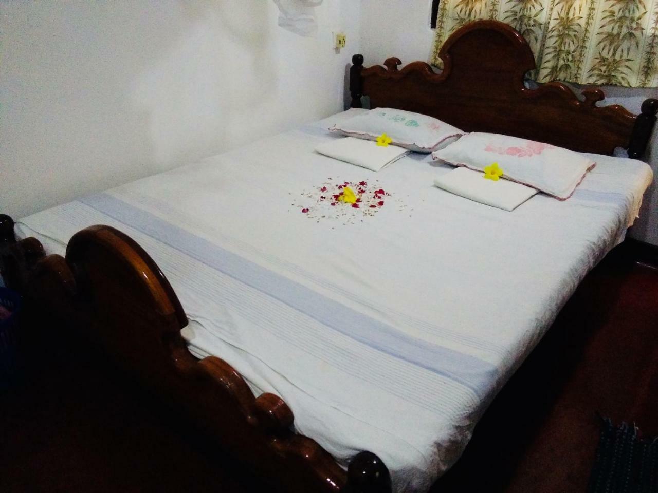 Hikkaduwa Backyard Beach Homestay Galle Ngoại thất bức ảnh