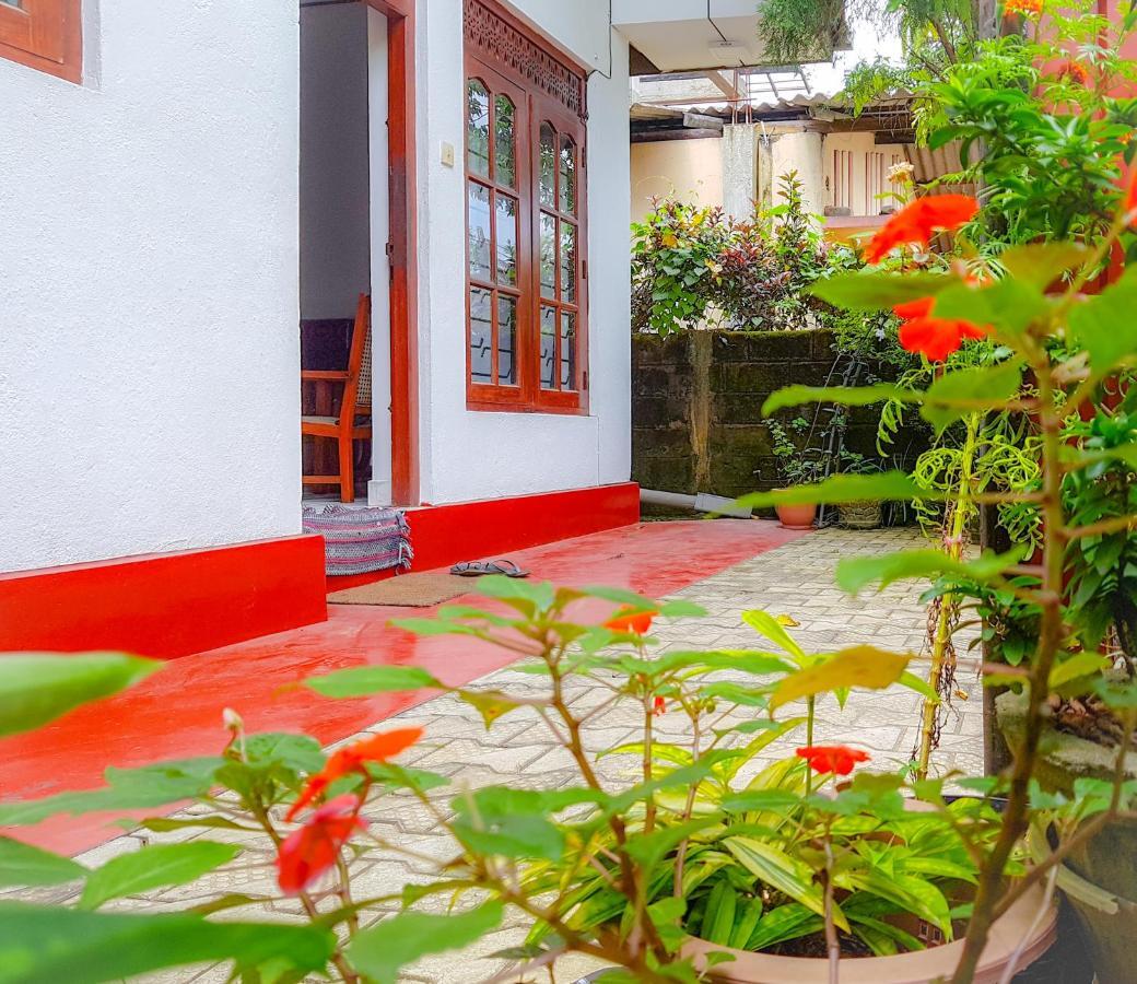 Hikkaduwa Backyard Beach Homestay Galle Ngoại thất bức ảnh