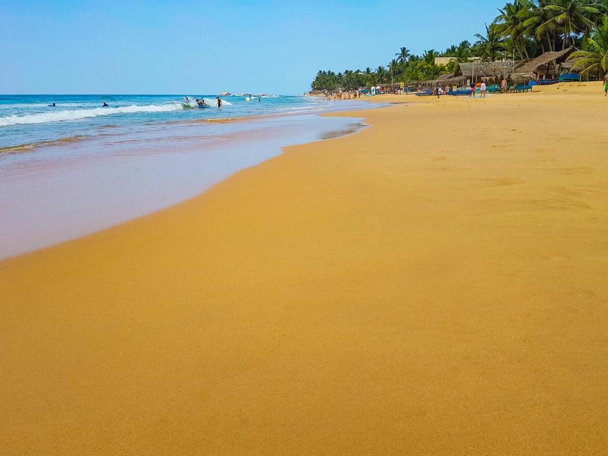 Hikkaduwa Backyard Beach Homestay Galle Ngoại thất bức ảnh