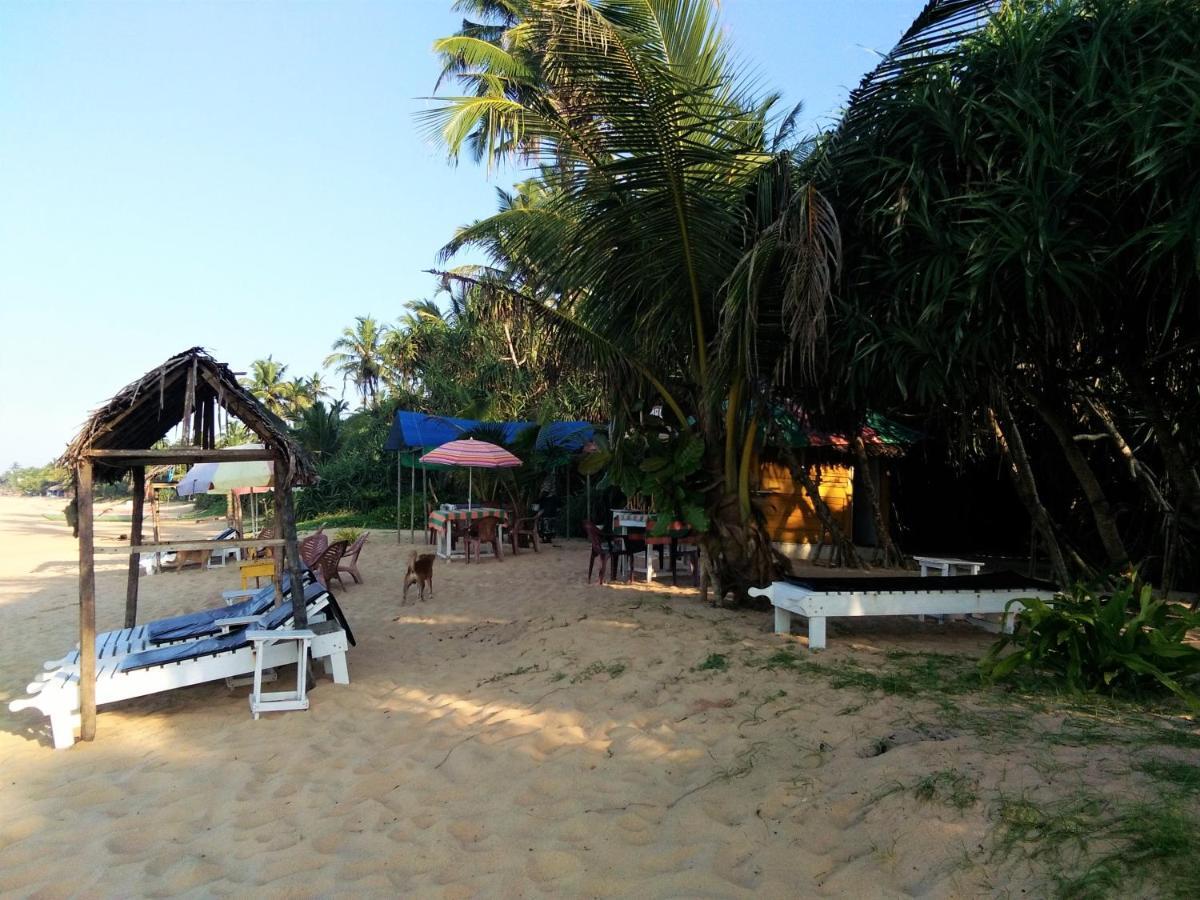 Hikkaduwa Backyard Beach Homestay Galle Ngoại thất bức ảnh