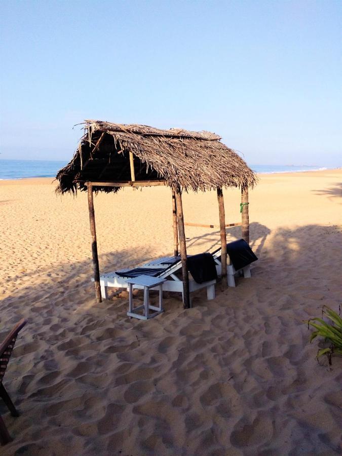Hikkaduwa Backyard Beach Homestay Galle Ngoại thất bức ảnh